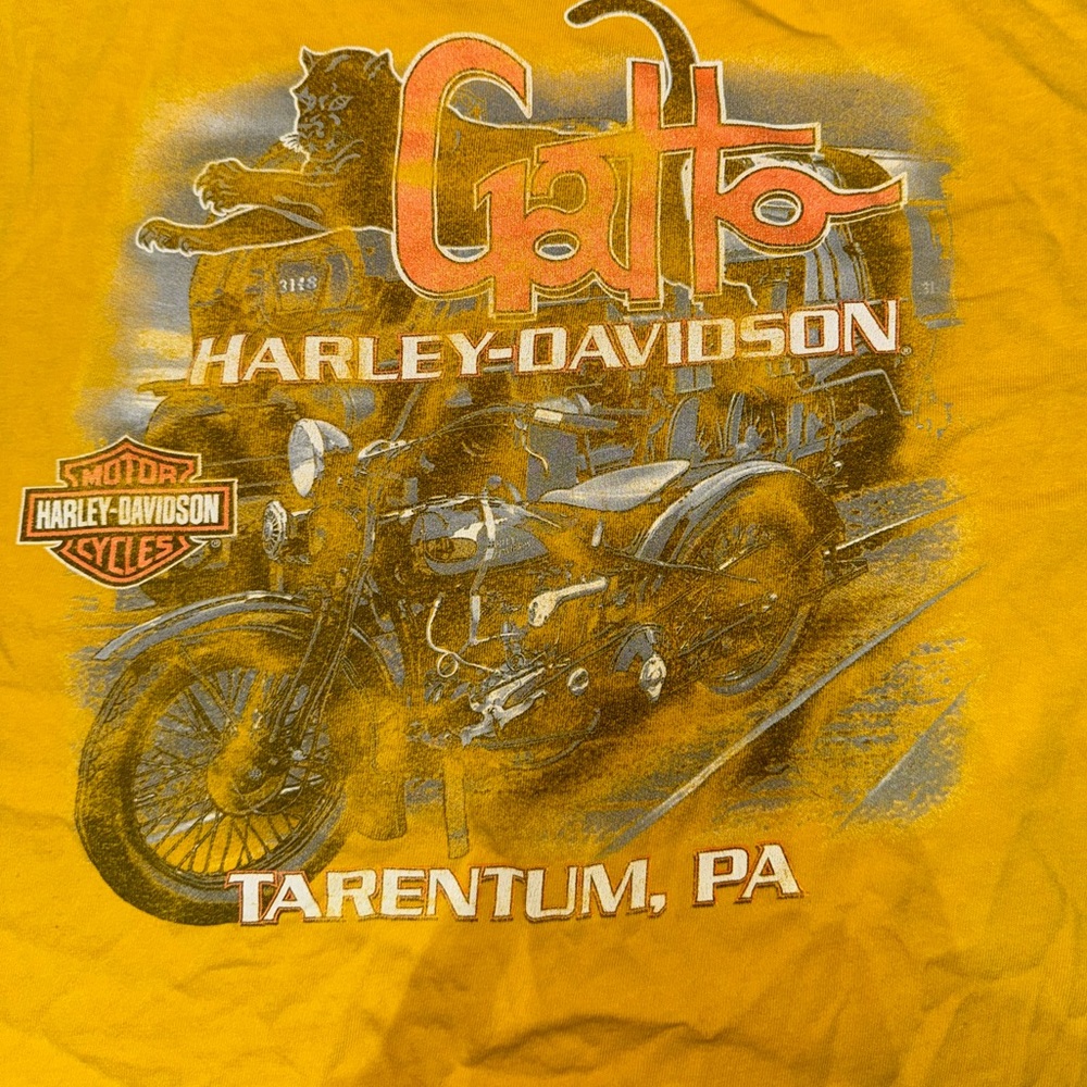 Distressed Harley Tee, Great coloration, No rips, holes or tears!